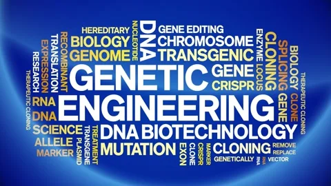 Genetic Engineering animated word cloud,animation kinetic typography loop. Stock Footage 293757930