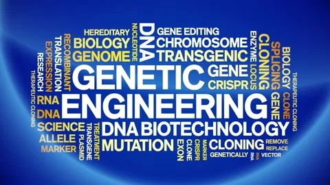 Genetic Engineering animated word cloud,animation kinetic typography loop. Stock Footage 293757989