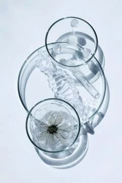 Genetic engineering concept with dna, flower and molecule Stock Photos