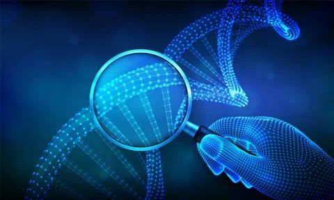 Genetic engineering concept with magnifier in hand and DNA sequence. Wirefram 스톡 일러스트