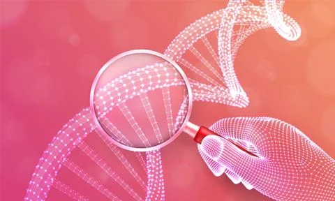 Genetic engineering concept with magnifier in hand and DNA sequence. Wirefram Stock Illustration