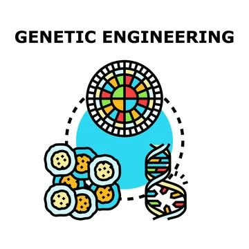Genetic engineering concept for modern biological science Stock Illustration