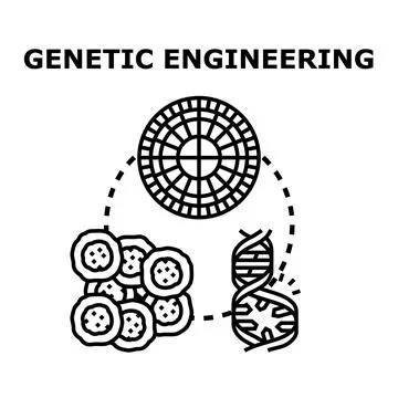 Genetic engineering concept for modern biological science Stock Illustration