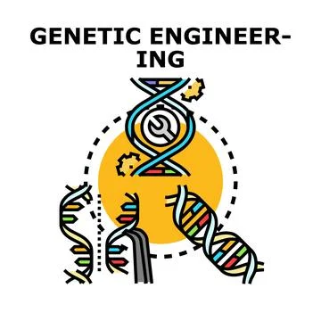 Genetic engineering concept modifying dna structure Stock Illustration