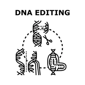 Genetic engineering concept showing dna editing and gene modification 库存插图