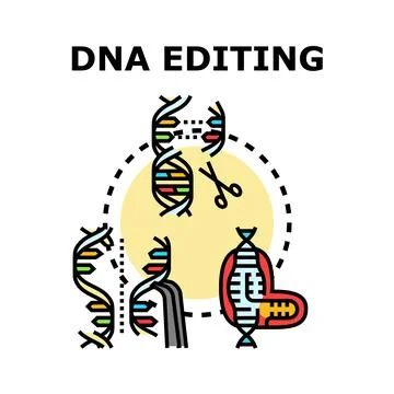 Genetic engineering concept showing dna editing and gene modification 库存插图