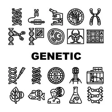 Genetic engineering crispr gene icons set vector Stock Illustration