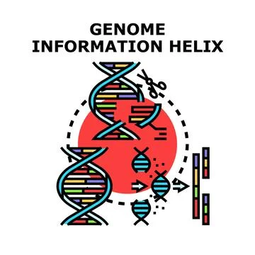 Genetic engineering editing genome information helix イラスト素材