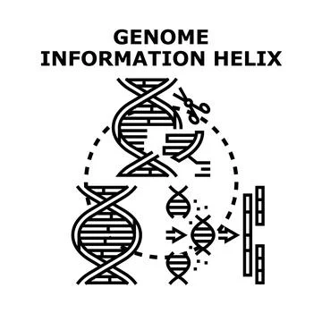 Genetic engineering editing genome information helix Stock Illustration