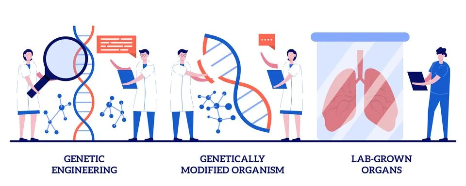 Genetic engineering, genetically modified organism, lab-grown organs concep.. Stock Illustration