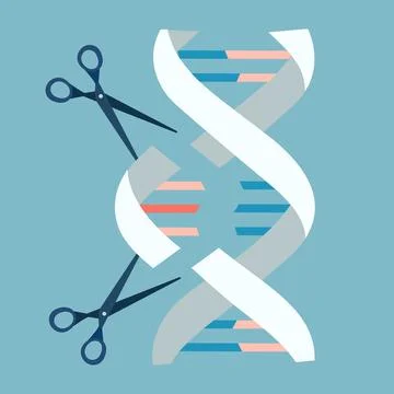 Genetic engineering. Human chromosome editing concept Illustrazione stock