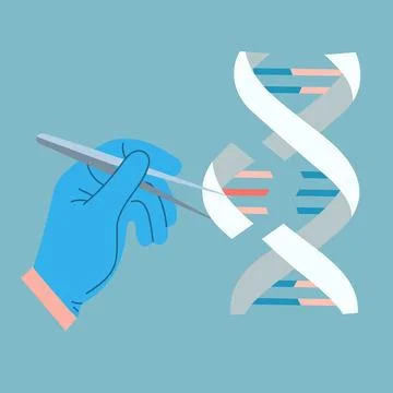 Genetic engineering. Human chromosome editing concept Illustrazione stock