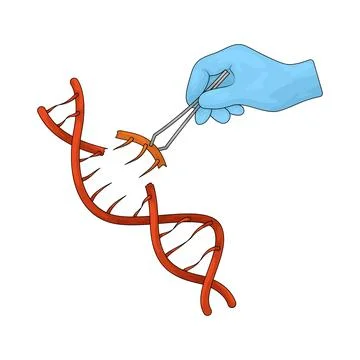 Genetic engineering illustration Stock Illustration