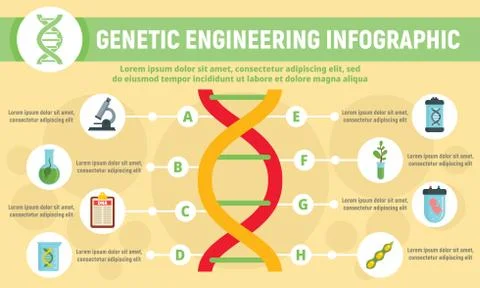 Genetic engineering infographic, flat style Illustrazione stock