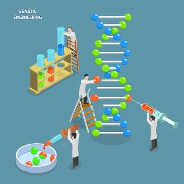 Genetic engineering isometric flat vector concept. Stock Illustration