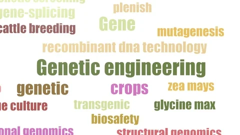 Genetic Engineering Tag Cloud Animated Isolated On White Stock Footage 103096523