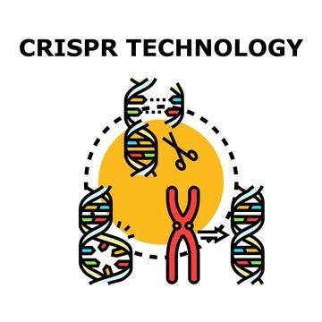 Genetic engineering using crispr technology editing dna structure Stock Illustration