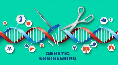 Genetic engineering vector medical poster with DNA イラスト素材