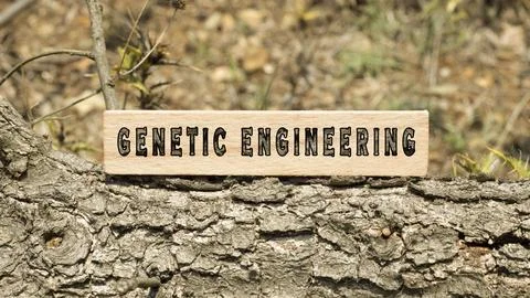 Genetic engineering word. Background log written on wooden frame. Nature and  Stock Photos