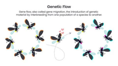 Genetic Flow scientific vector illustration graphic Illustrazione stock