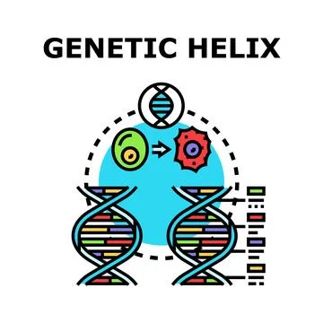 Genetic helix concept symbolizing dna mutation process Stock Illustration