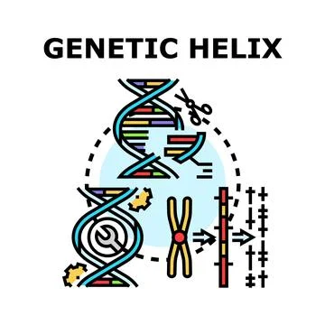 Genetic helix engineering and research process Stock Illustration