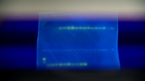 Genetic identification Stock Footage 88020970