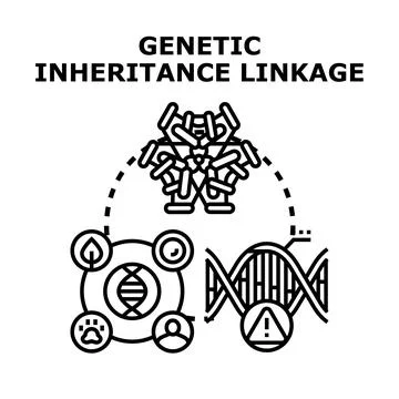 Genetic inheritance linkage vector concept illustration Stock Illustration