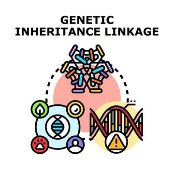 Genetic inheritance linkage vector concept illustration Stock Illustration