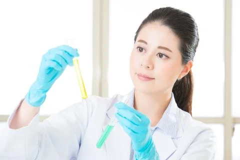 Genetic modification corn sugar is not sugar cane, all about gmo food Stockfoto's