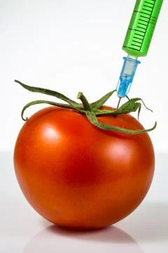Genetic modification 스톡 사진