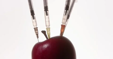 Genetic modifications concept. Apple. Stock Footage 331984353
