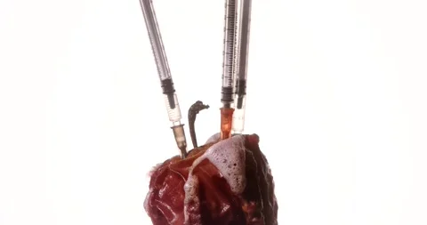 Genetic modifications concept. Apple. Stock Footage 331984460