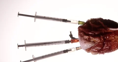 Genetic modifications concept. Apple. Stock Footage 331984478