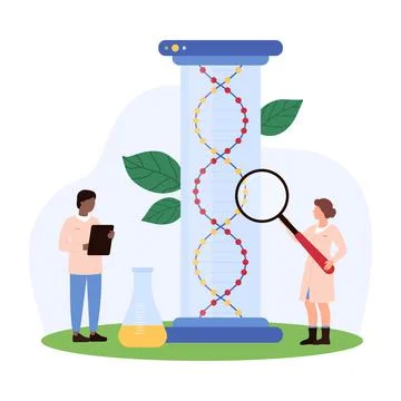 Genetic Research Analysis Concept Stock Illustration
