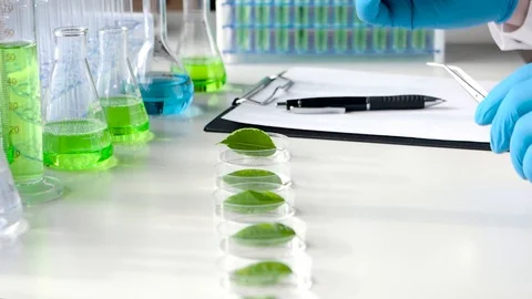 Genetic Research Laboratory. Close view: the scientist drips the drug on green Video stock 124787473