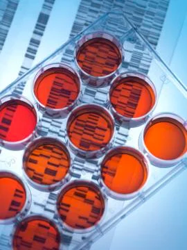 Genetic research Stock Photos