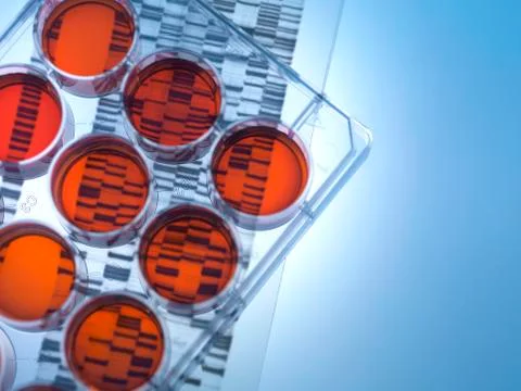 Genetic research Stock Photos