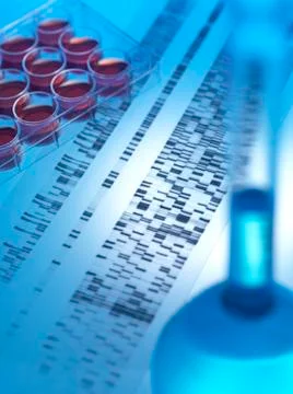 Genetic research Stock Photos
