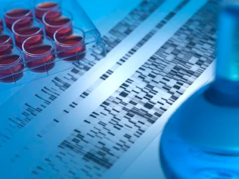 Genetic research Stock Photos