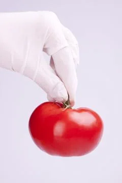 Genetic research Stock Photos