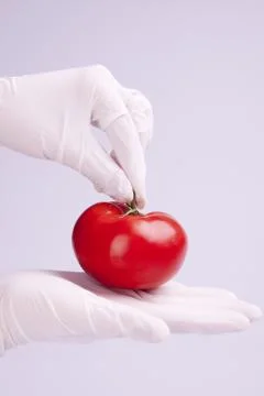 Genetic research Foto stock