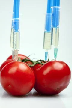 Genetic research Stock Photos