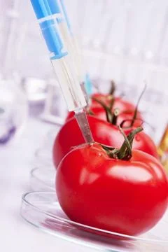 Genetic research Stock Photos