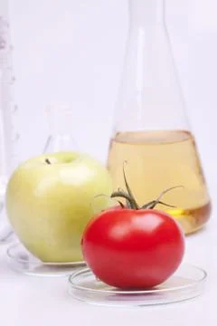 Genetic research Stock Photos