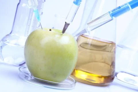 Genetic research Stock Photos