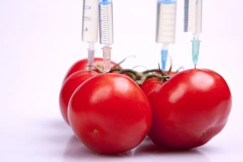 Genetic research Stock Photos
