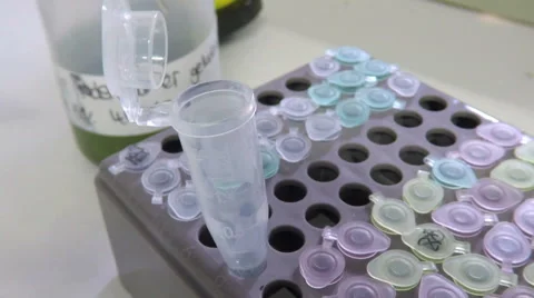 Genetic sampling biology 스톡 동영상 68662841