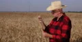 Genetic Specialist Fertile Study Agriculture Research Wheat Crop Golden Grains 4k or 4k+ Resolution