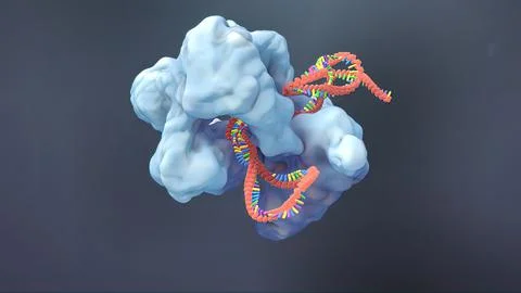 The genetic structure of 3D animated DNA Stock Illustration